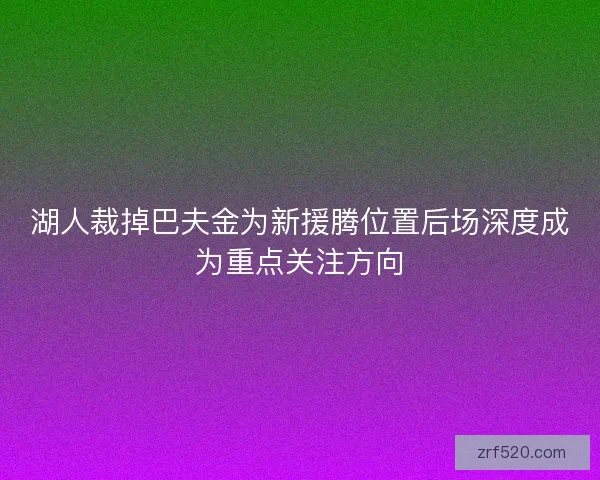 湖人裁掉巴夫金为新援腾位置后场深度成为重点关注方向